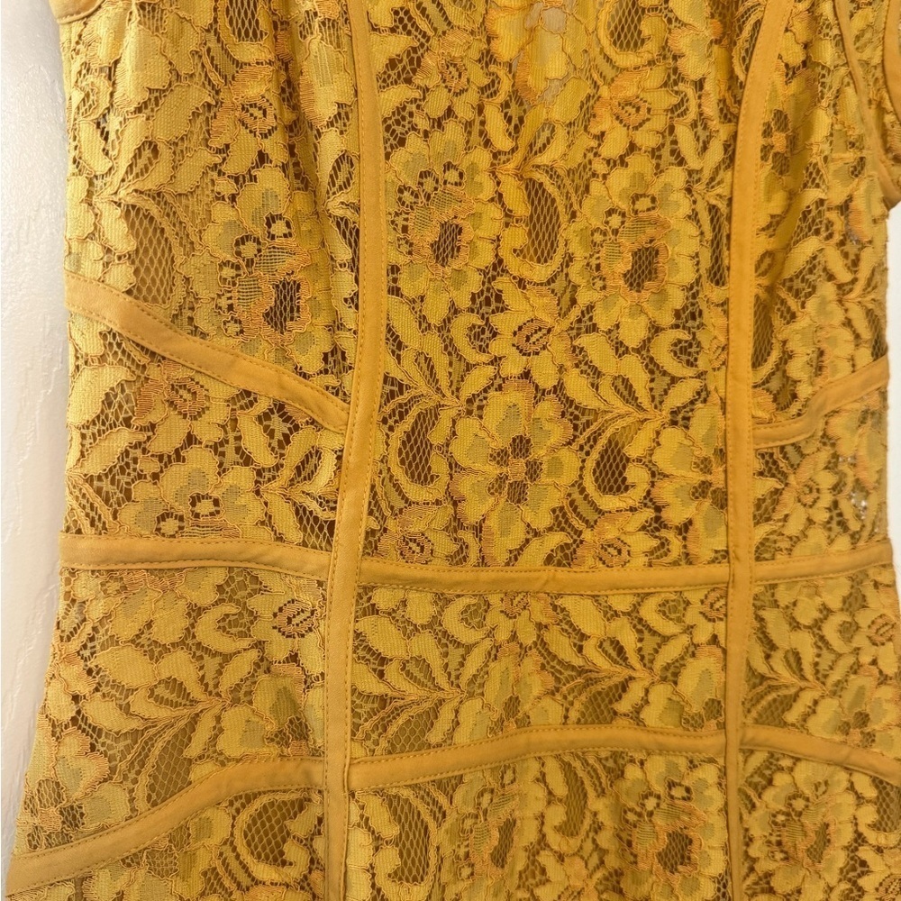 New - BCBGMaxAzria Golden Lace Dress - Picture 3 of 4